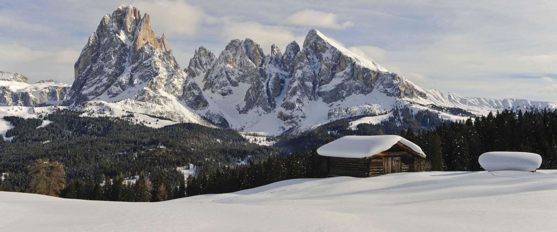 Seiser Alm in winter Snow-covered wooden huts, forests and meadows. In the background you can see the rocky Dolomites.