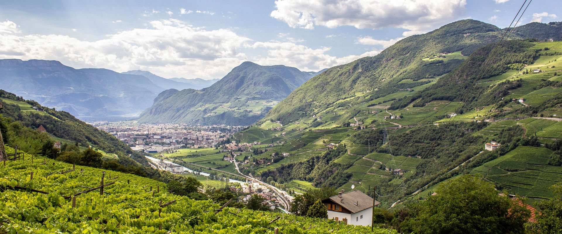 Bozen & environs Green hillsides, vineyards and the city of Bozen