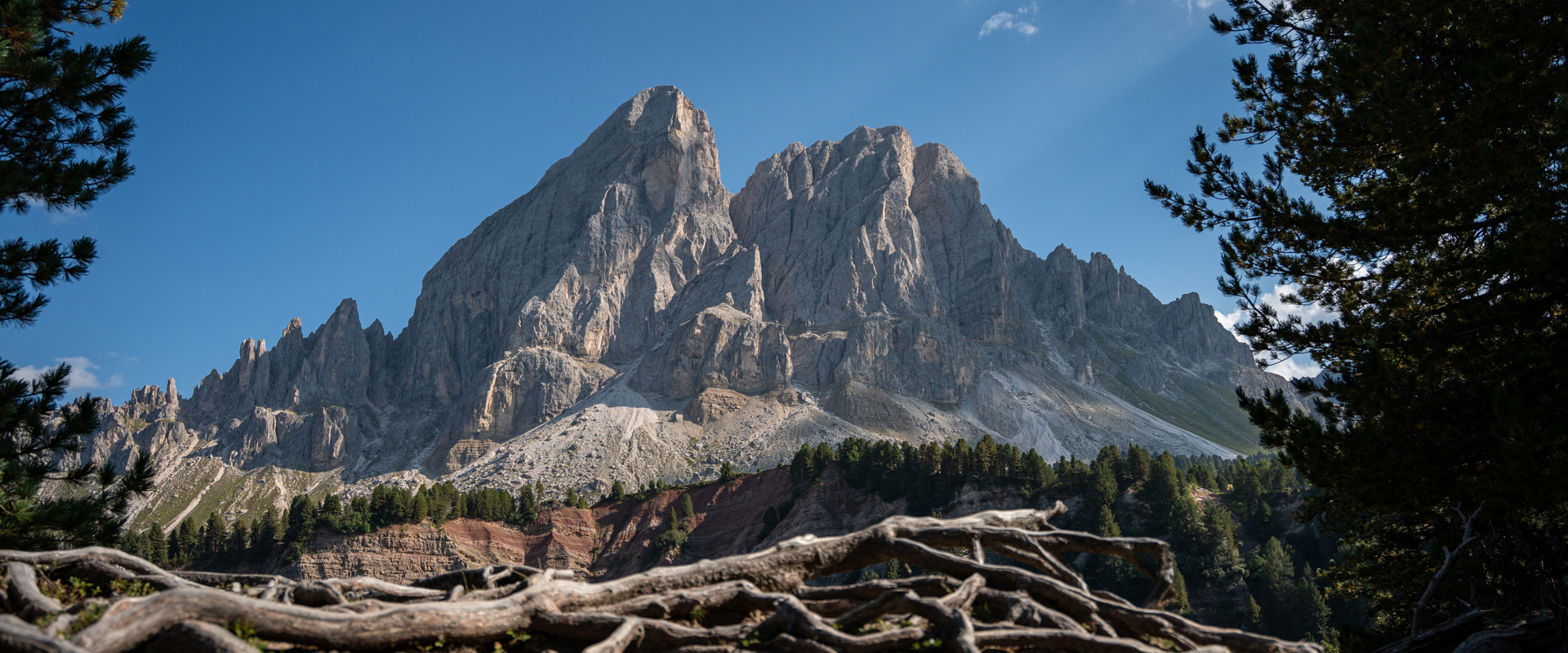 Mt. Peitlerkofel Isolated mountain peak, layers of earth, and trees with root formations